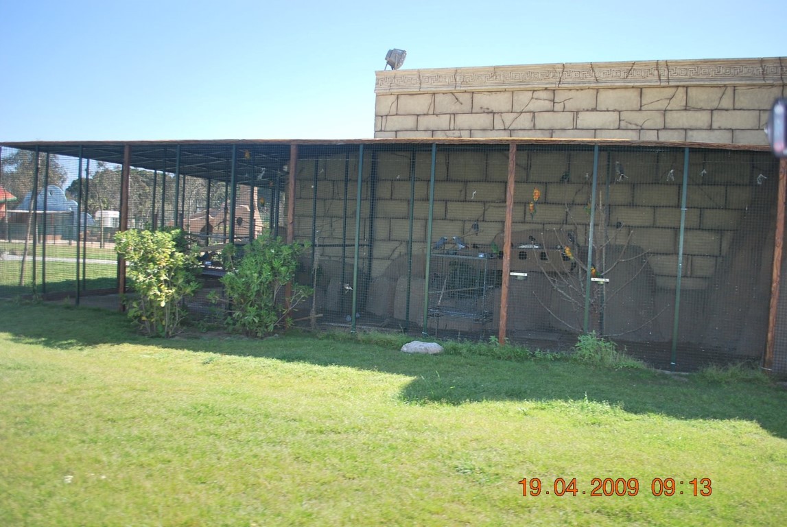 imagini hotel MARDAN PALACE